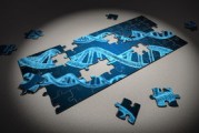 体育社交平台用户粘性提升策略，体育社交功能